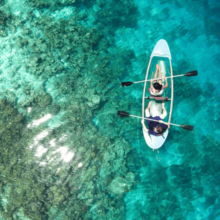 Adventure Shore Excursions - explore Half-moon reef & Coral Mountain